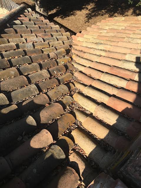 Emergency Roof Leak Repairs in Allawah, Sydney – Fast, Reliable & Local Solutions