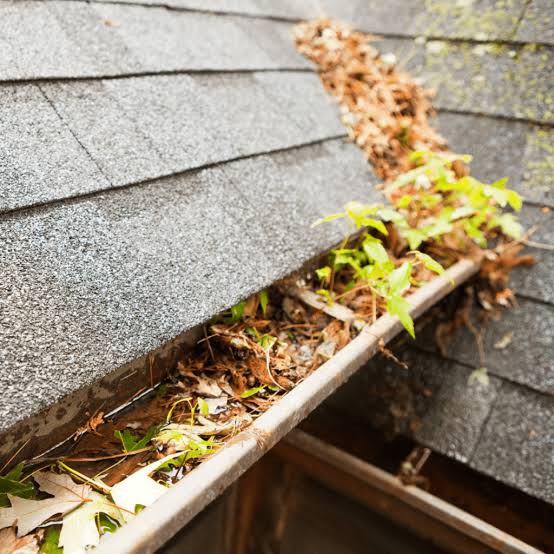 Professional Gutter Cleaning & Painting Services in Penshurst NSW