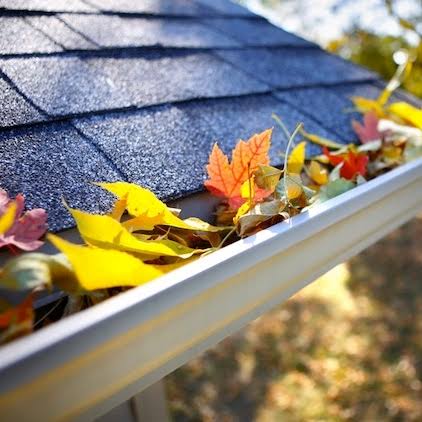 Professional Gutter Cleaning & Painting Services in Penshurst NSW